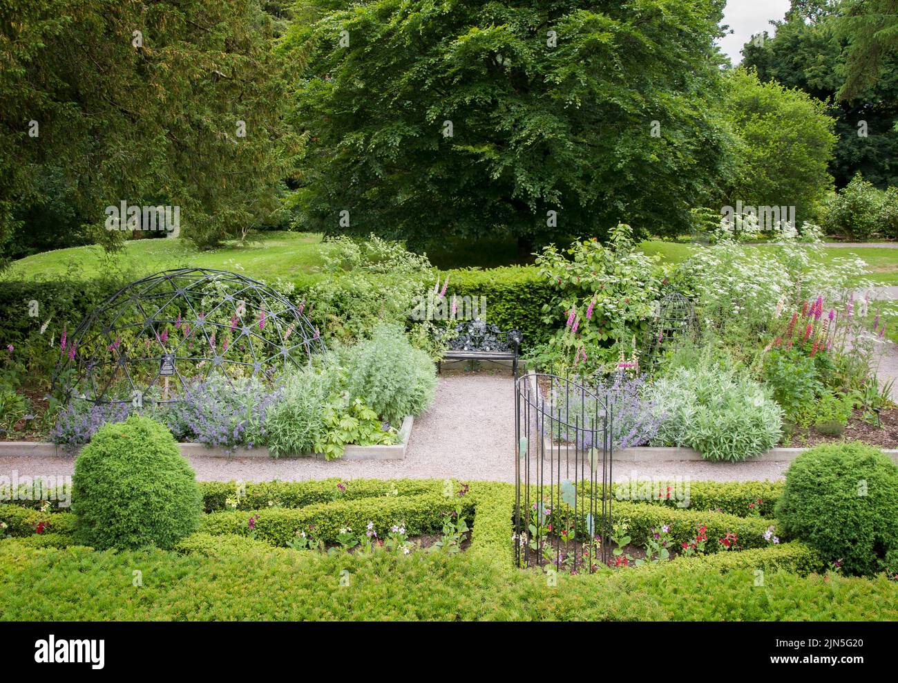 BLARNEY, IRLANDA. 13 DE JUNIO DE 2022. Jardín de plantas venenosas en el Castillo de Blarney Foto de stock