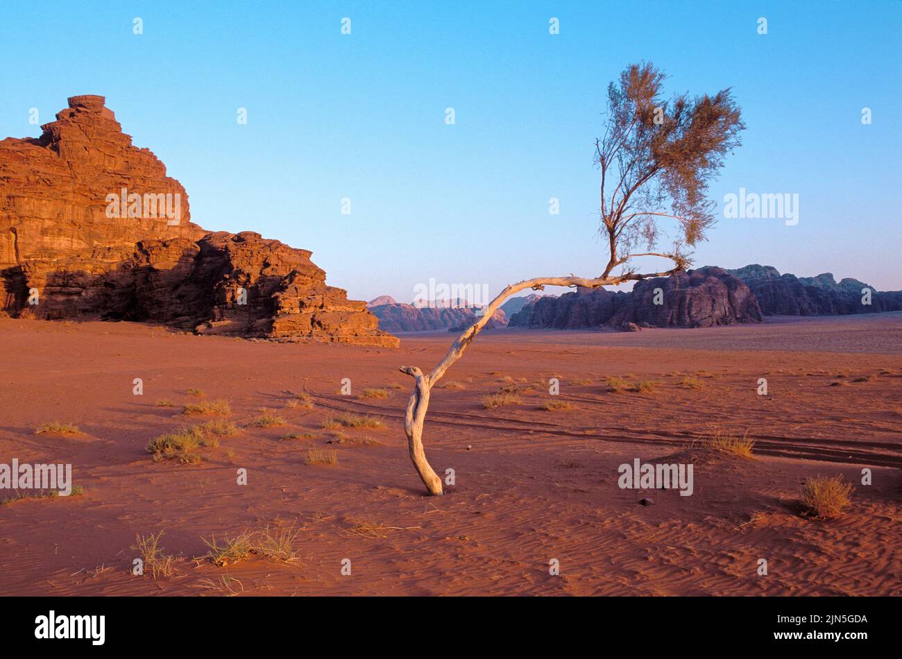 Jordania, desierto de Wadi Rum Foto de stock