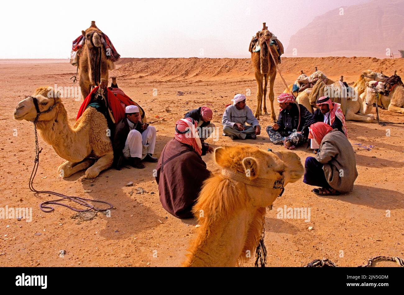 Jordania, desierto de Wadi Rum, caravanas beduinas Foto de stock