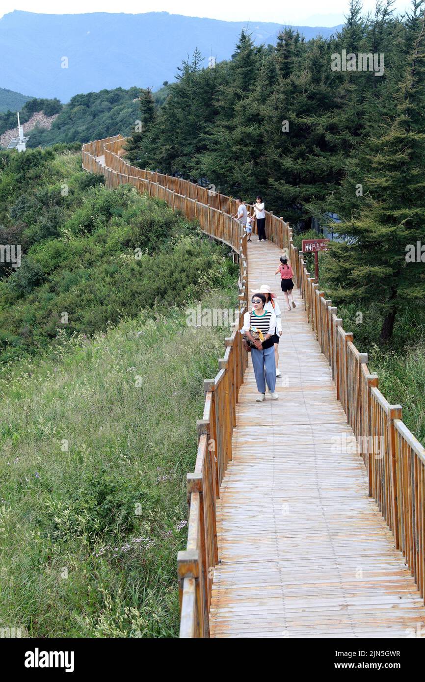 Luanping, provincia china de Hebei. 8th de Ago de 2022. Los visitantes recorren el parque forestal nacional Baicaowa en el condado de Luanping en Chengde, al norte de la provincia china de Hebei, el 8 de agosto de 2022. En los últimos años, las autoridades locales de Luanping se han esforzado por mejorar su construcción de infraestructura turística de maneras innovadoras, impulsando así su desarrollo turístico. Crédito: Luo Xuefeng/Xinhua/Alamy Live News Foto de stock
