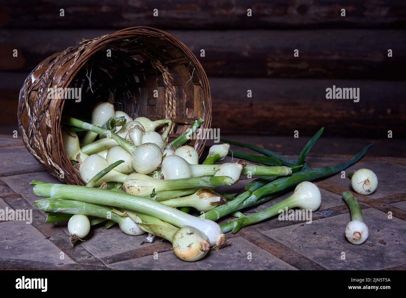 Cebollas verdes con bulbos de cebolla yacen sobre la mesa cerca de la canasta de mimbre. Foto de stock