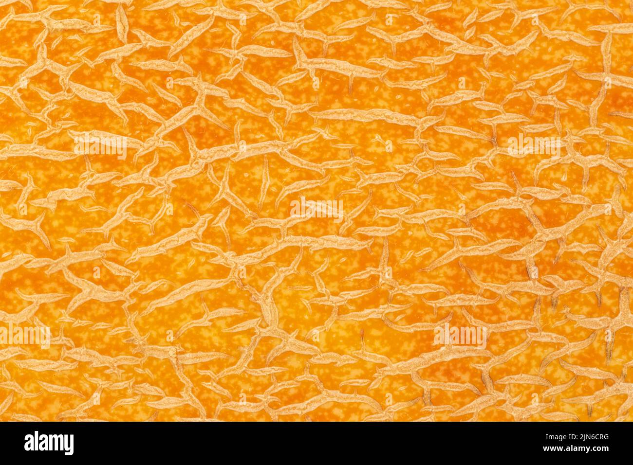 primer plano de piel anaranjada de textura de melón Foto de stock