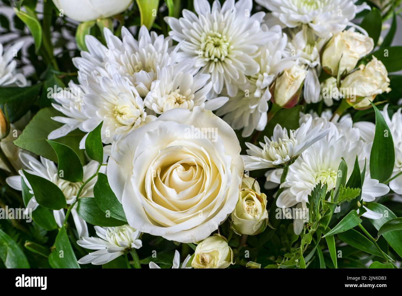 Flor blanca y hojas verde oscuro en arreglo floral brillante Foto de stock