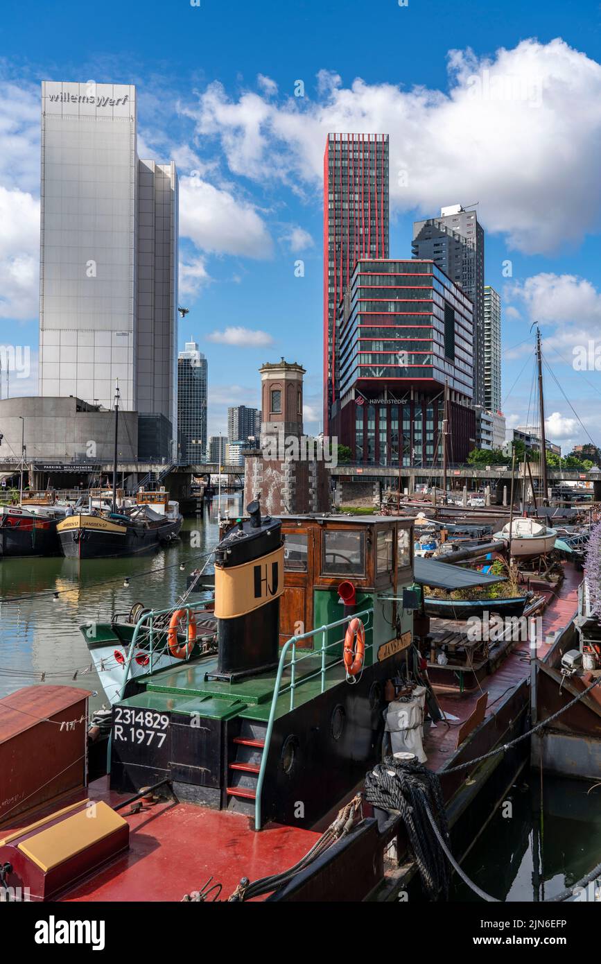 Centro de Rotterdam, Oudehaven, puerto histórico, barcos históricos, ciudad moderna telón de fondo, Países Bajos, Foto de stock
