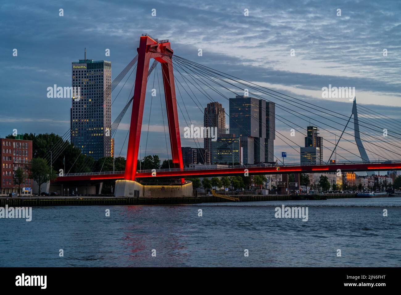 El horizonte de Rotterdam, en el Nieuwe Maas, río, rascacielos, edificios en la ciudad, Países Bajos, Willemsbrug, Erasmusbrug en la parte trasera, Foto de stock