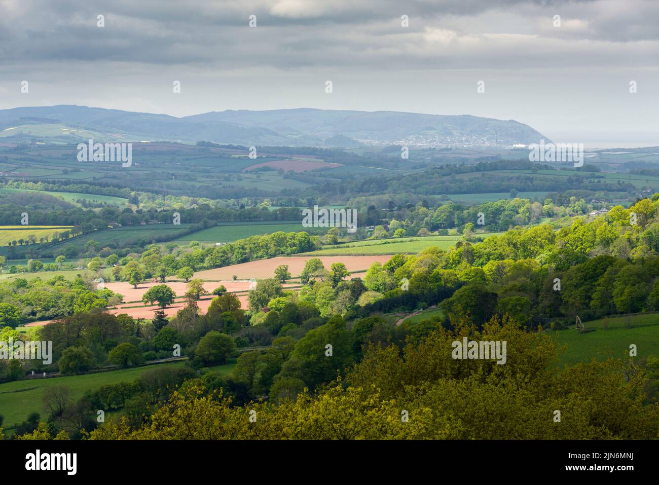 Vista desde Cothelstone Hill en Quantock Hills hacia Minehead y el Parque Nacional Exmoor más allá en primavera, Somerset, Inglaterra. Foto de stock