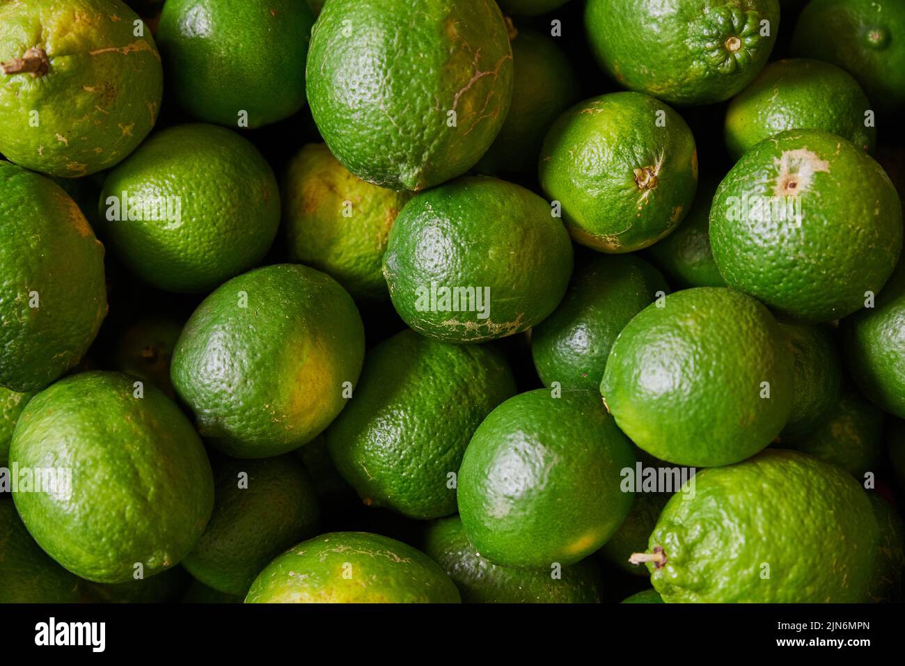 Limones verdes colocados en un estante para la venta en un mercado Foto de stock