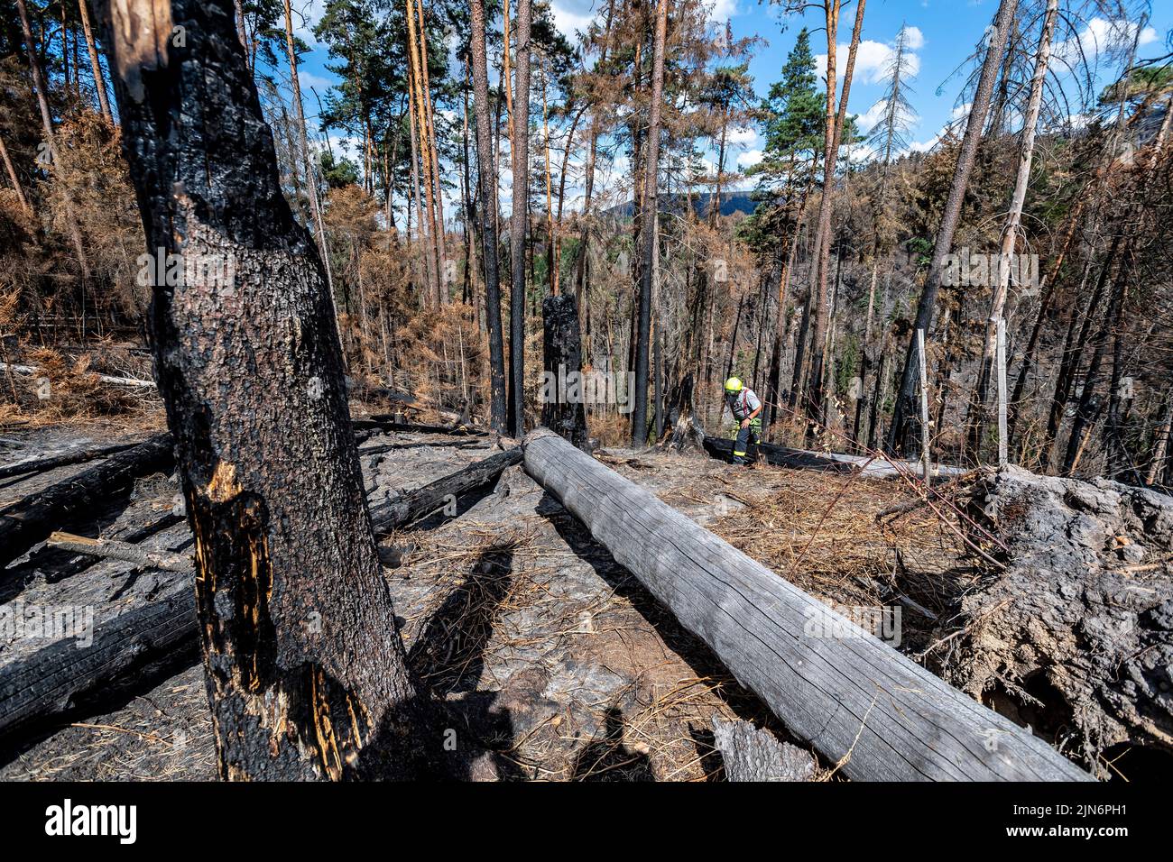 Hrensko, República Checa. 09th de Ago de 2022. Los bosques quemados en el Parque Nacional Ceske Svycarsko (Suiza Checa), República Checa, 9 de agosto de 2022. Un bombero voluntario de Kresice, en la región de Decin, camina por la mina larga sobre el desfiladero de Edmund (Silencio), donde guarda parte de la primera zona que los bomberos entregaron a la administración del parque después de que los bomberos hayan terminado. Crédito: Ondrej Hajek/CTK Photo/Alamy Live News Foto de stock