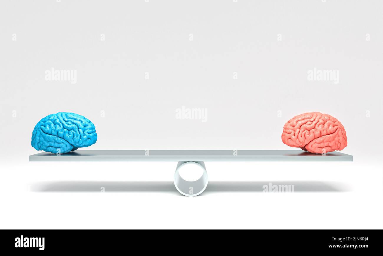 cerebros masculinos a femeninos comparados en una escala. presentación 3d Foto de stock