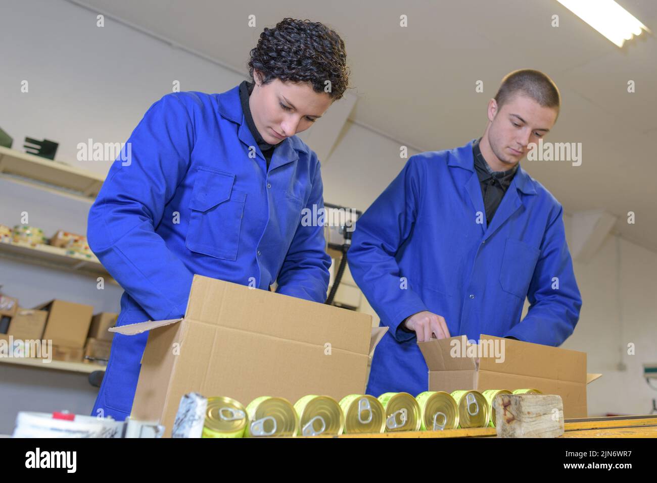 los trabajadores de la fábrica empaquetan latas en la caja Foto de stock