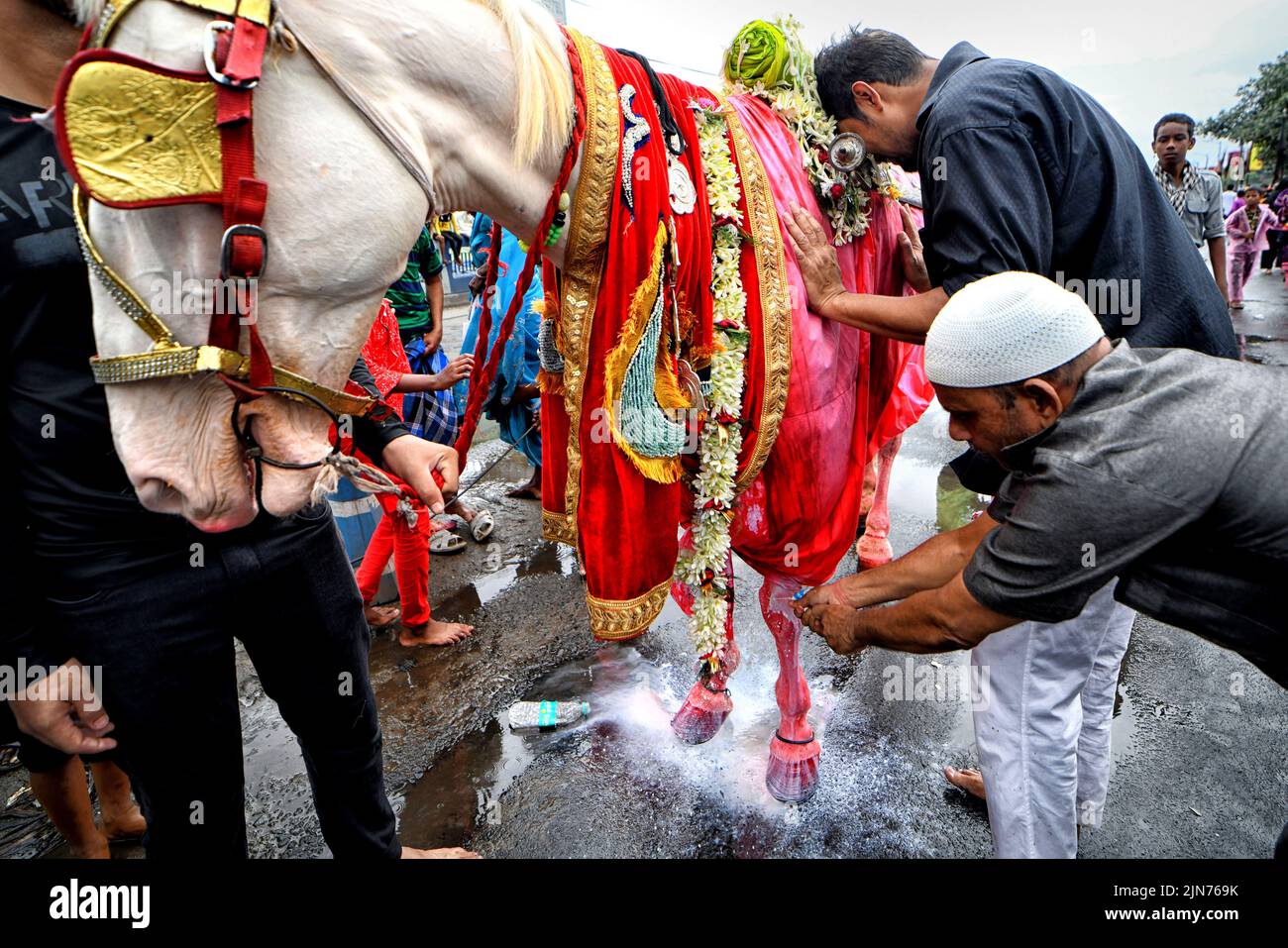 Devoto musulmán chiíta visto con un caballo santo durante la procesión Muharram de Kolkata. Muharram es el primer mes del calendario islámico y Ashura es el décimo día del mes de Muharram en el que se celebra la conmemoración del martirio del imán Hussain, nieto del profeta Mahoma (PBUH), durante la batalla de Karbala. Es parte del duelo por los musulmanes chiítas y un día de ayuno para los musulmanes sunitas que se observa en todo el mundo. Foto de stock