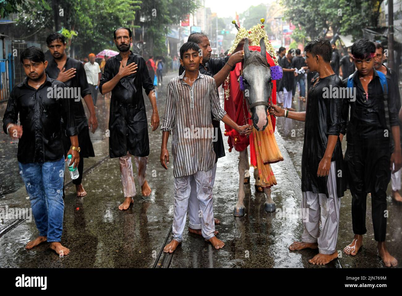 Devoto musulmán chiíta con un caballo santo durante la procesión Muharram de Kolkata. Muharram es el primer mes del calendario islámico y Ashura es el décimo día del mes de Muharram en el que se celebra la conmemoración del martirio del imán Hussain, nieto del profeta Mahoma (PBUH), durante la batalla de Karbala. Es parte del duelo por los musulmanes chiítas y un día de ayuno para los musulmanes sunitas que se observa en todo el mundo. Foto de stock