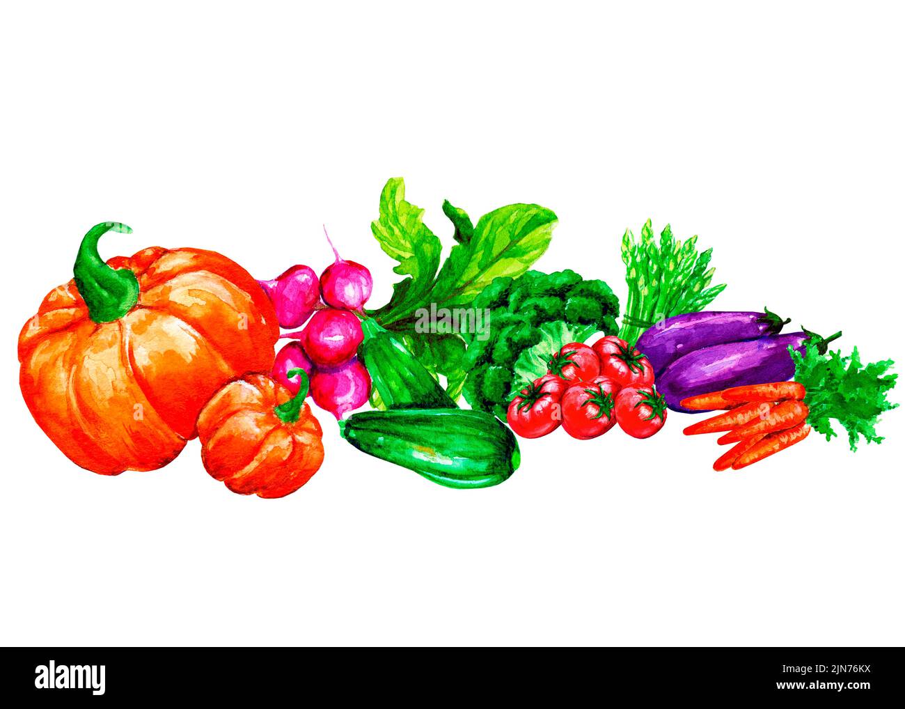 Verduras de acuarela fotografías e imágenes de alta resolución - Alamy