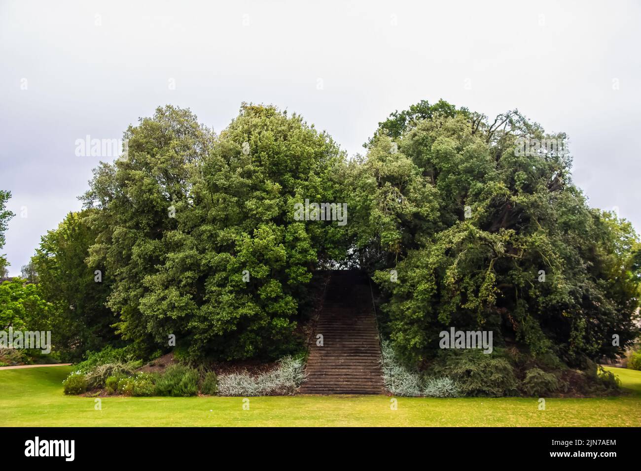 Escalera al cielo o a ninguna parte - Old Folly en Inglaterra - montículo cubierto de árboles y escaleras a la cima en un hermoso césped verde Foto de stock