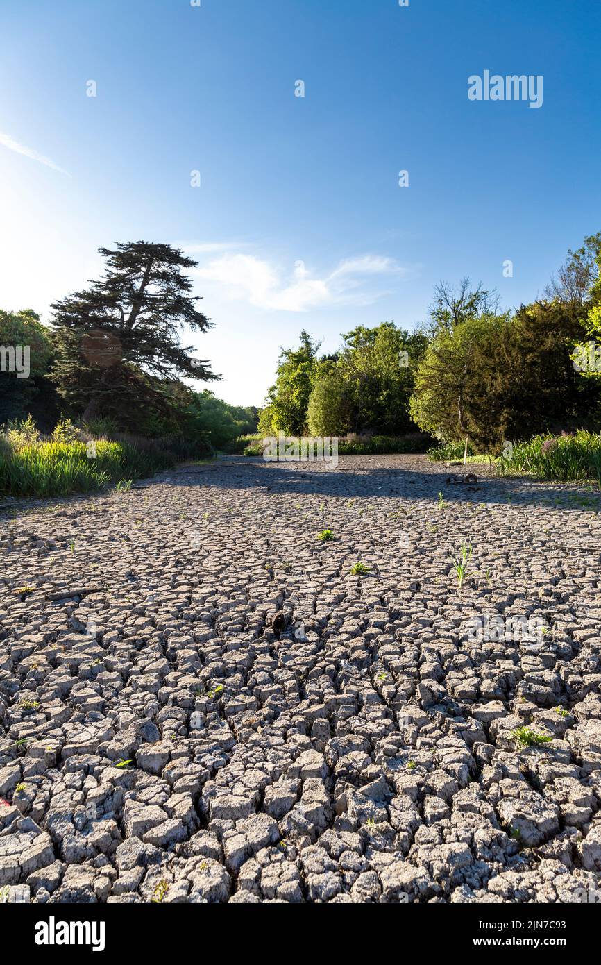 9 de agosto de 2022 - Londres, Reino Unido, el estanque ornamental Water en Wanstead Park se secó debido a las olas de calor y a las altas temperaturas de la ciudad Foto de stock