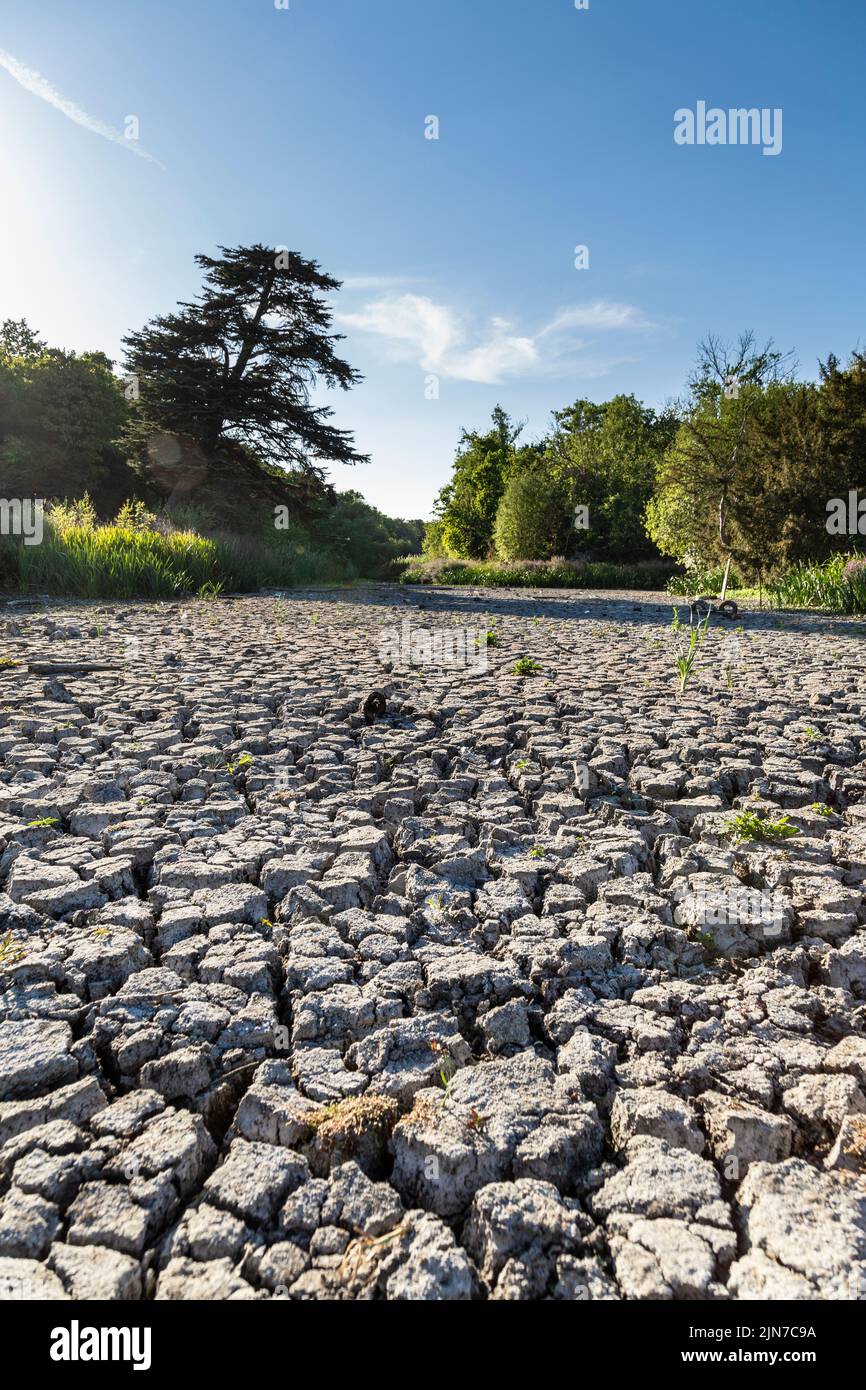 9 de agosto de 2022 - Londres, Reino Unido, el estanque ornamental Water en Wanstead Park se secó debido a las olas de calor y a las altas temperaturas de la ciudad Foto de stock