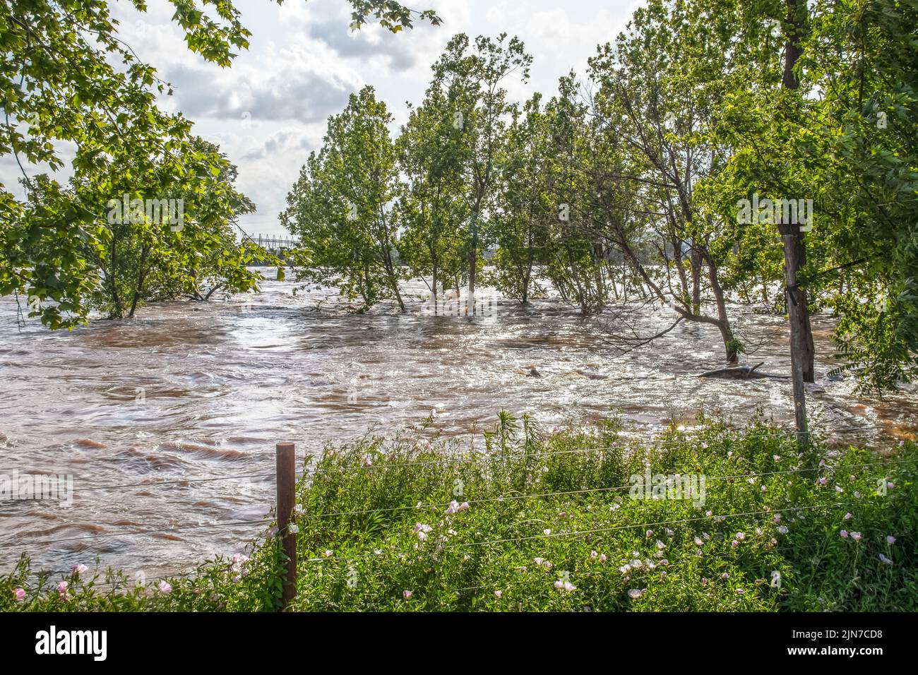 Turbulento e inundado río Arkansas, ya que corre a través de Tulsa OK con los árboles en el agua y parcialmente sumergido troncos - Pilones de electricidad acro Foto de stock