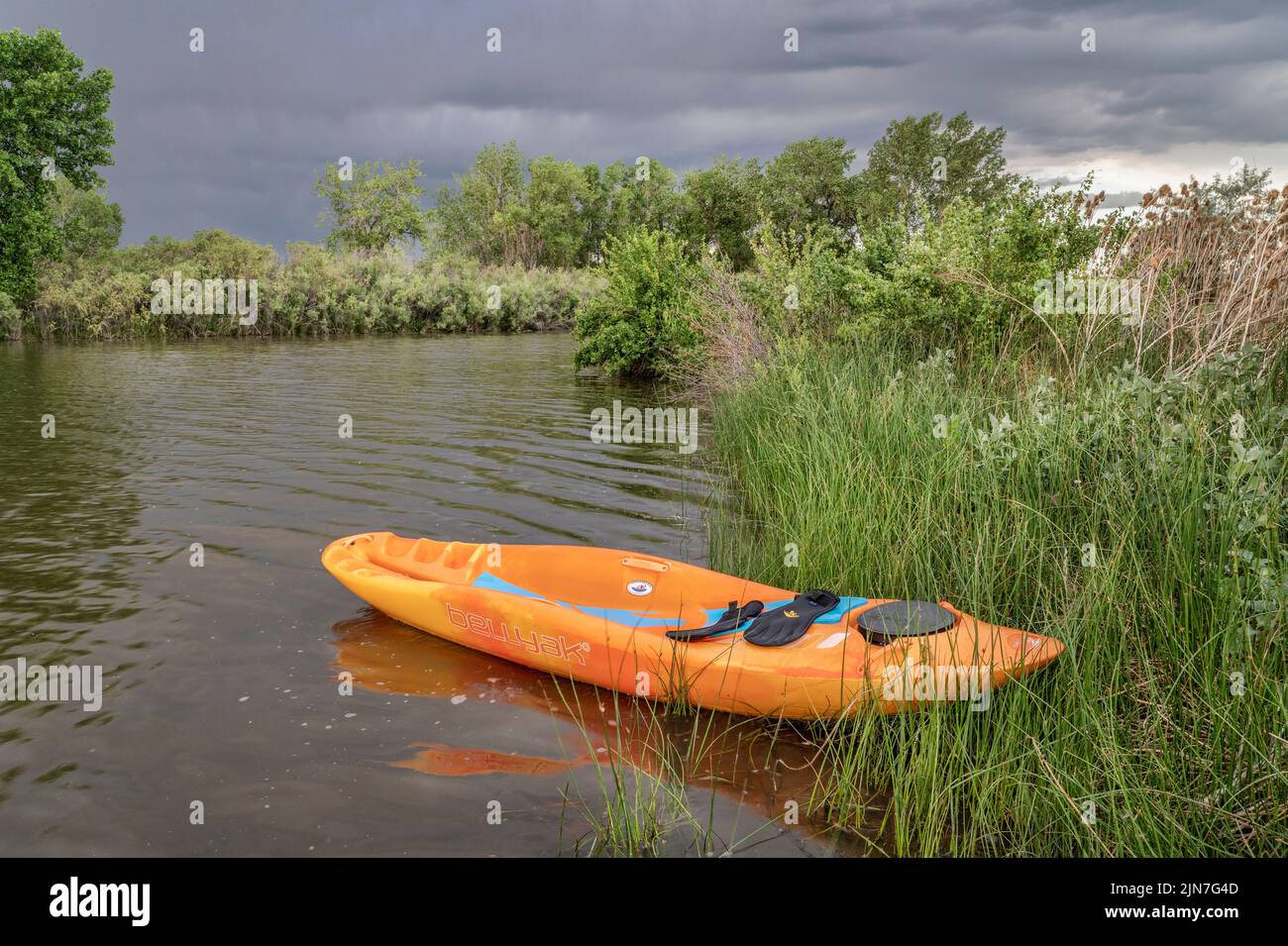 Fort Collins, CO, EE.UU. - 27 de junio de 2022: Bellyak, kayak propenso, en cañas a orillas del lago en Colorado, recreación acuática que combina los mejores aspectos de k Foto de stock