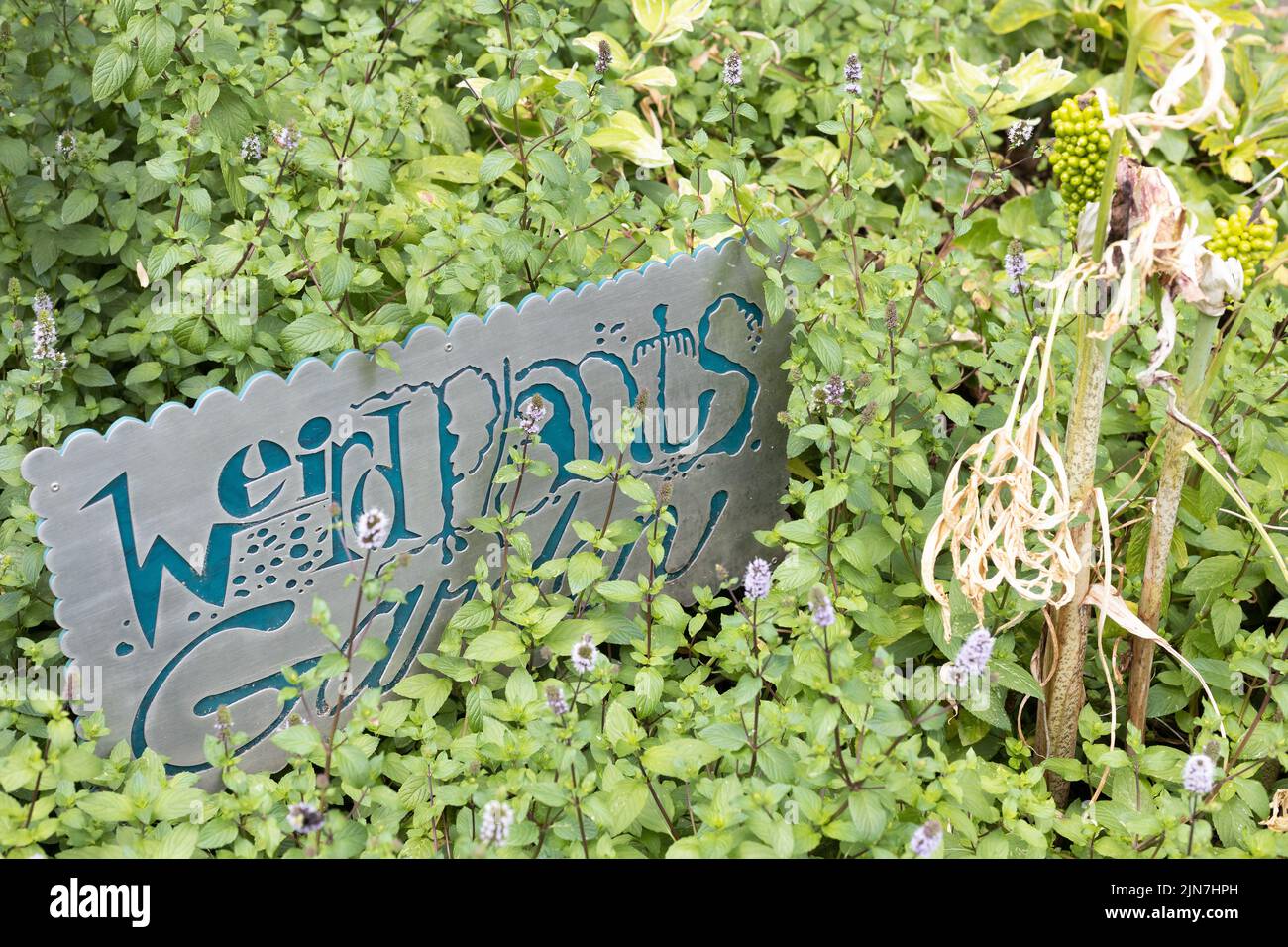 Un letrero para el Jardín de Plantas Extrañas en el Jardín de Oregon en Silverton, Oregon. Foto de stock
