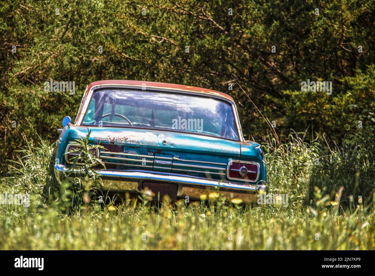 Vintage coche abandonado oxidado sentado en malas hierbas cerca de bosques con flores silvestres borrosas en primer plano Foto de stock