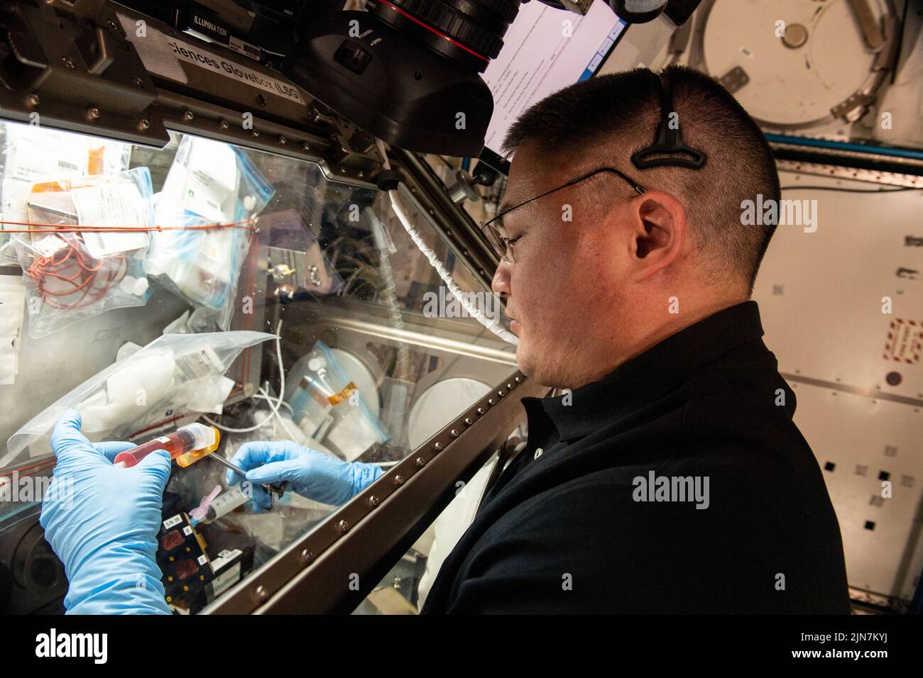 Atmósfera de la Tierra. 26th de julio de 2022. El astronauta Kjell Lindgren procesa muestras en el interior de la guantera de ciencias de la vida para el estudio de biología espacial por inmunosenescencia. Crédito: NASA/ZUMA Press Wire Service/ZUMAPRESS.com/Alamy Live News Foto de stock
