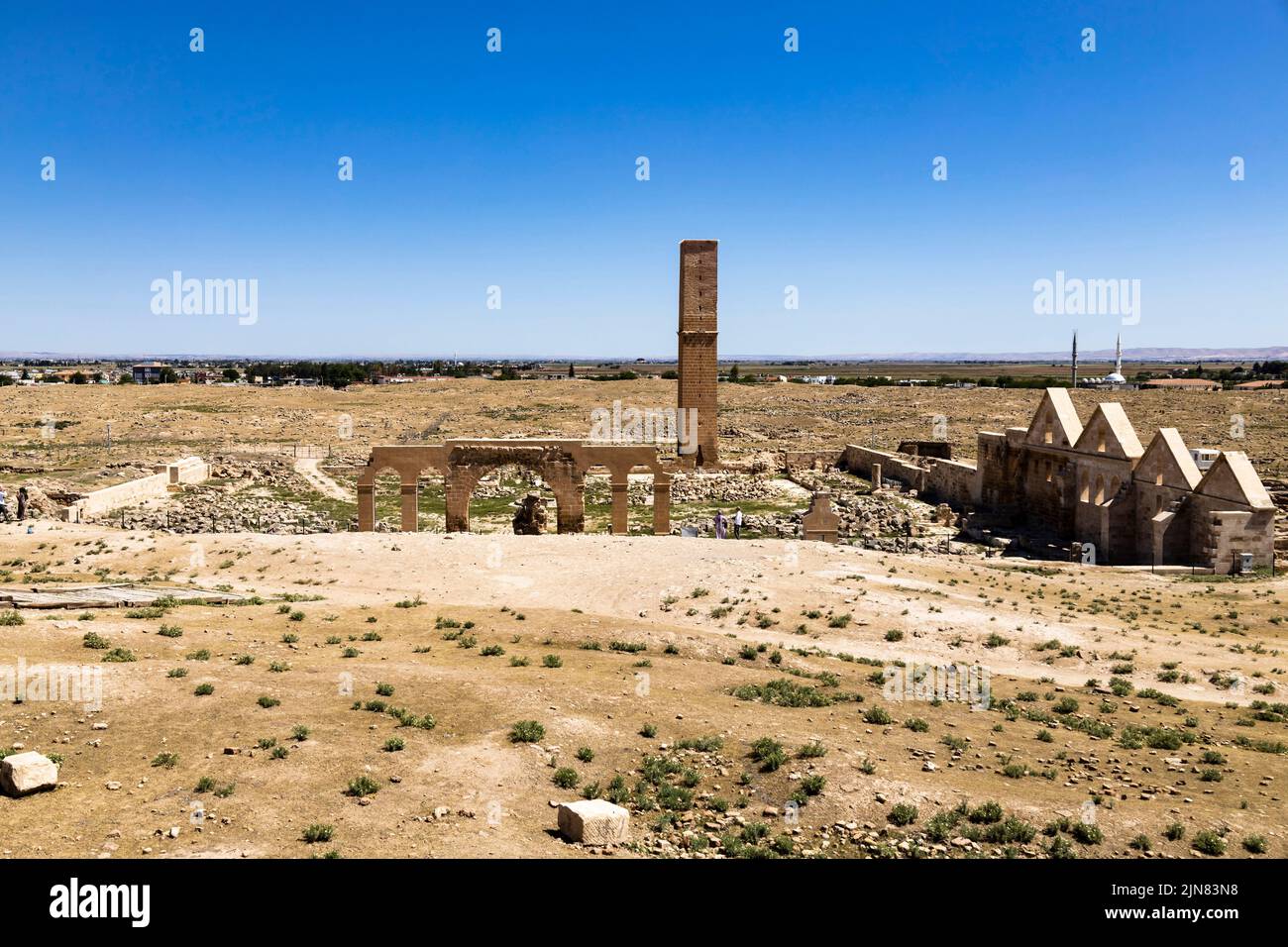 Ruinas de la gran mezquita de Harran, y minarete, Harran, provincia de Sanlıurfa, Turquía, Asia Menor, Asia Foto de stock