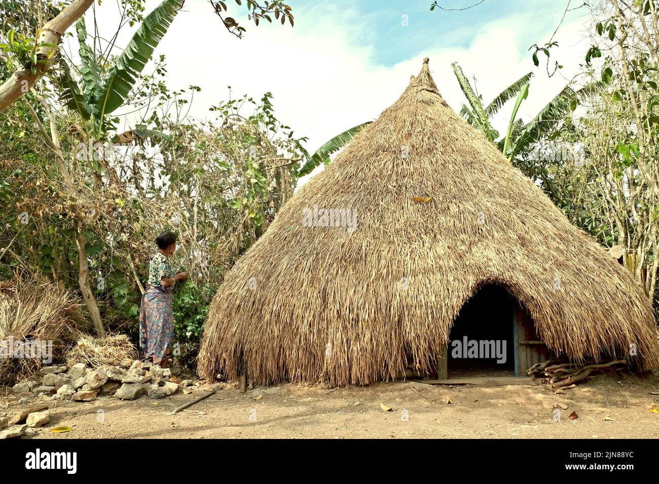 Yuliana Fuka, una aldeana y guía de ecoturismo a tiempo parcial, está de pie al lado de una cabaña de paja que funcionaba como alojamiento para turistas en la aldea de Fatumassi, Timor Central Sur, Nusa Tenggara Oriental, Indonesia. Foto de stock