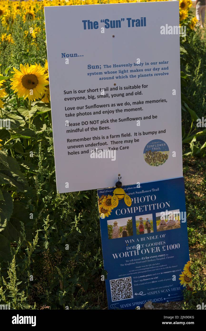 El tablón de información de Sun Trail en Castle Farm, Dorchester, Dorset UK en agosto Foto de stock