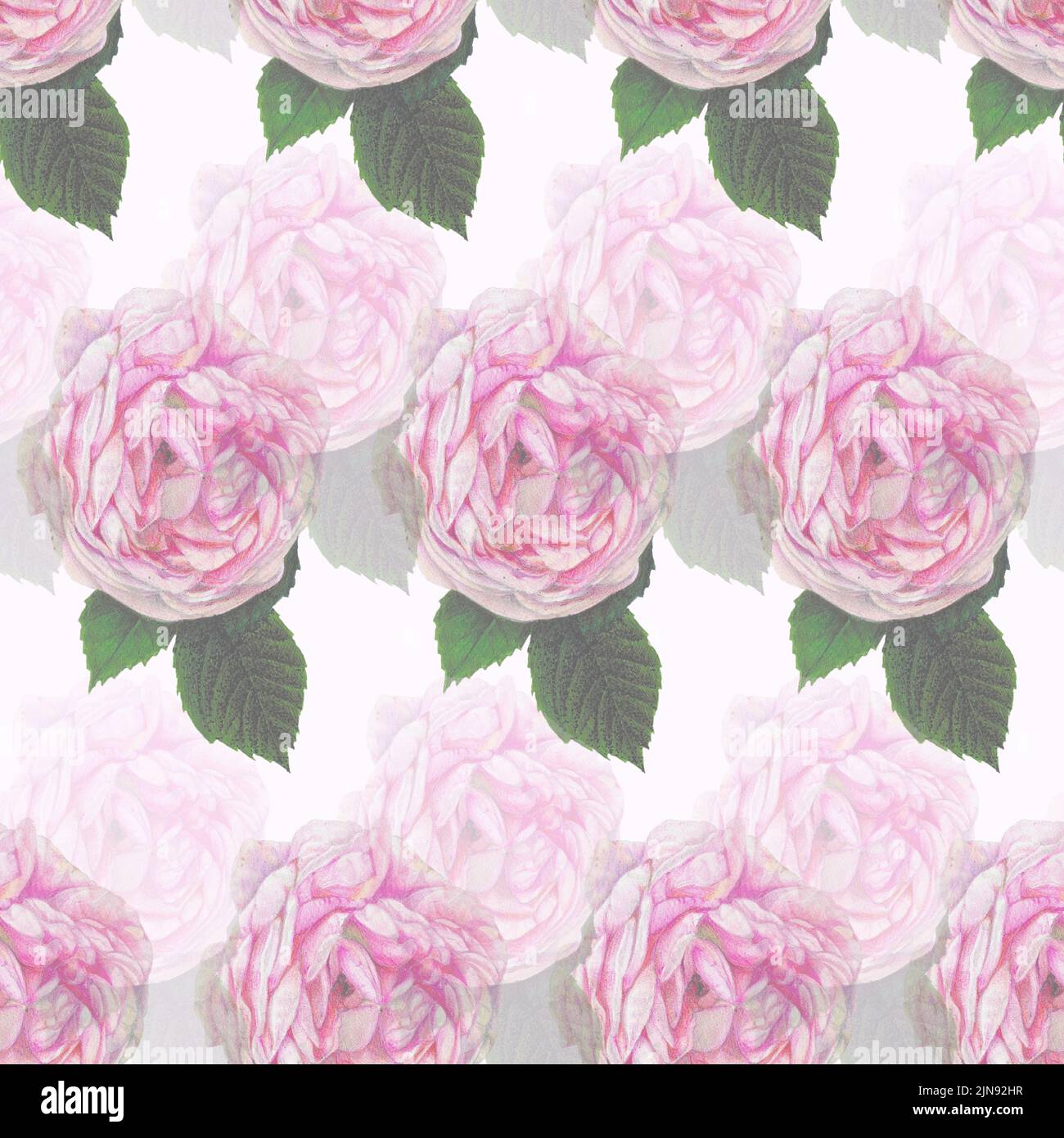 Diseño sin costuras con rosas rosas rosadas ahogadas a mano sobre fondo turquesa. Ilustración vintage. Foto de stock