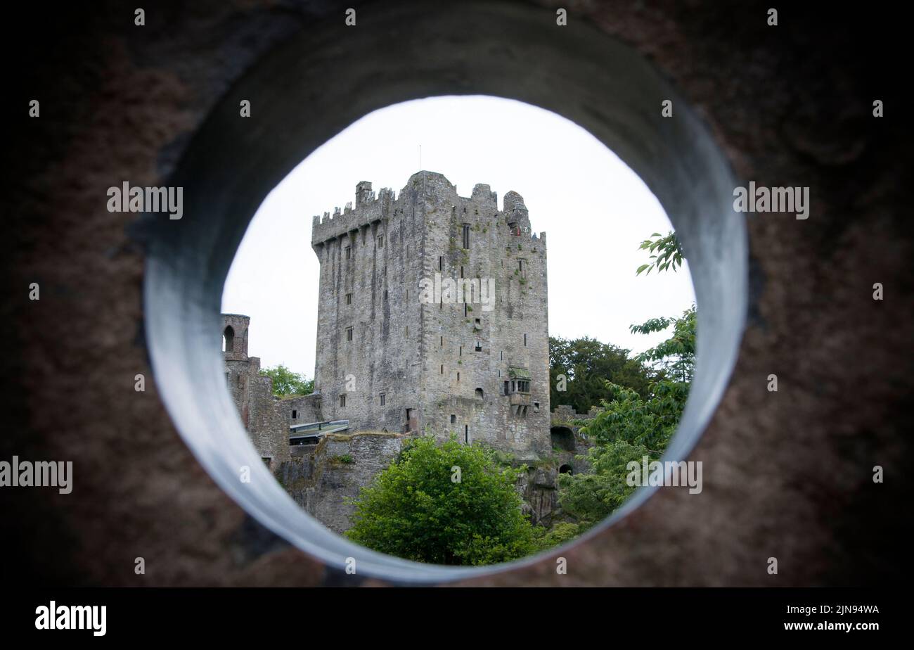 BLARNEY, IRLANDA. 13 DE JUNIO DE 2022. Destruido Blarney Castillo en el condado de Cork. Vistas al jardín. Foto de stock