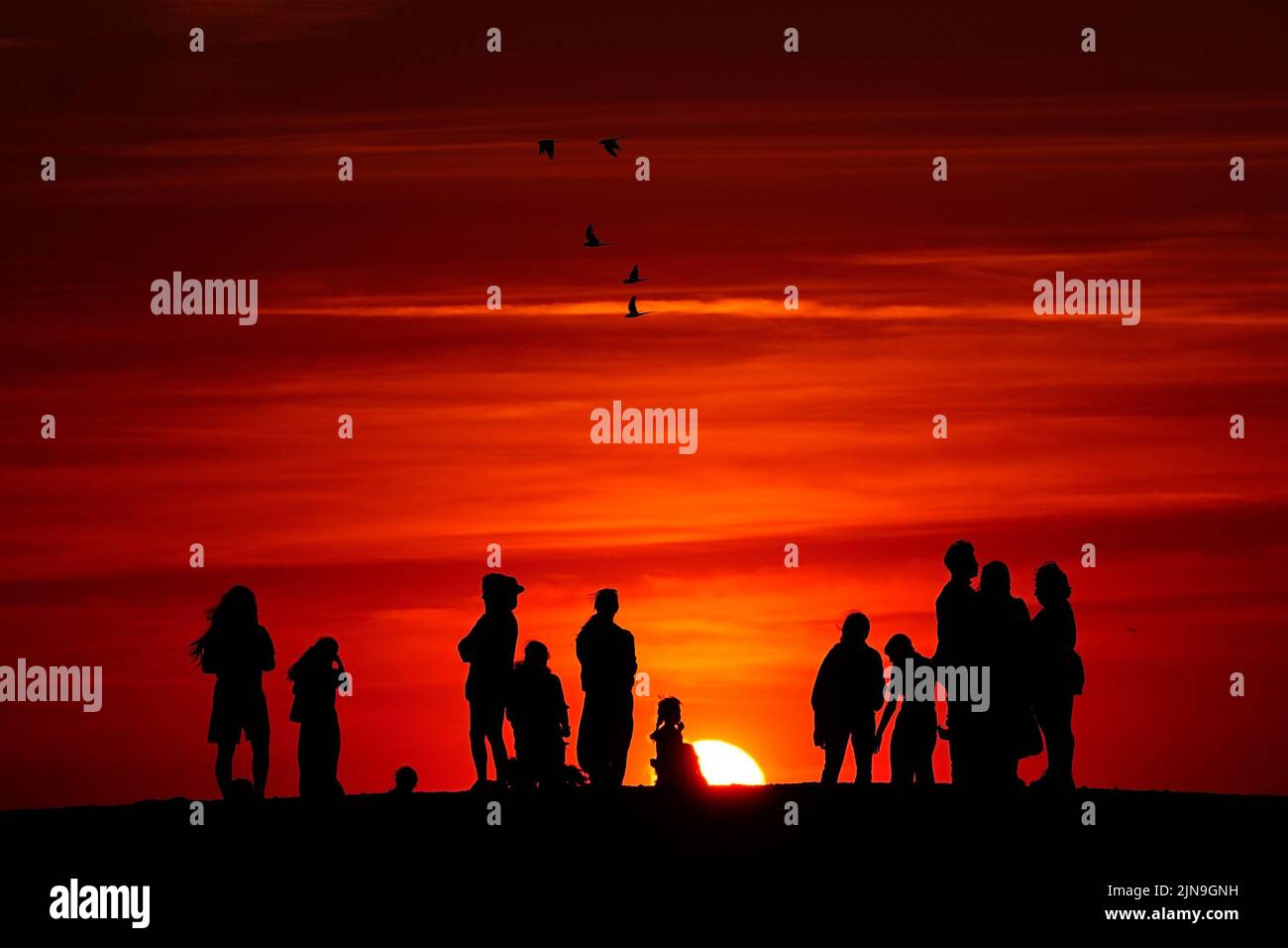 Grupos de personas ven la puesta de sol desde una colina en Ealing, al oeste de Londres, mientras continúa un verano de prohibiciones de tubos de escape y advertencias de incendios, con una alerta de salud por calor que se está implantando en gran parte del país. Fecha de la foto: Martes 9 de agosto de 2022. Foto de stock