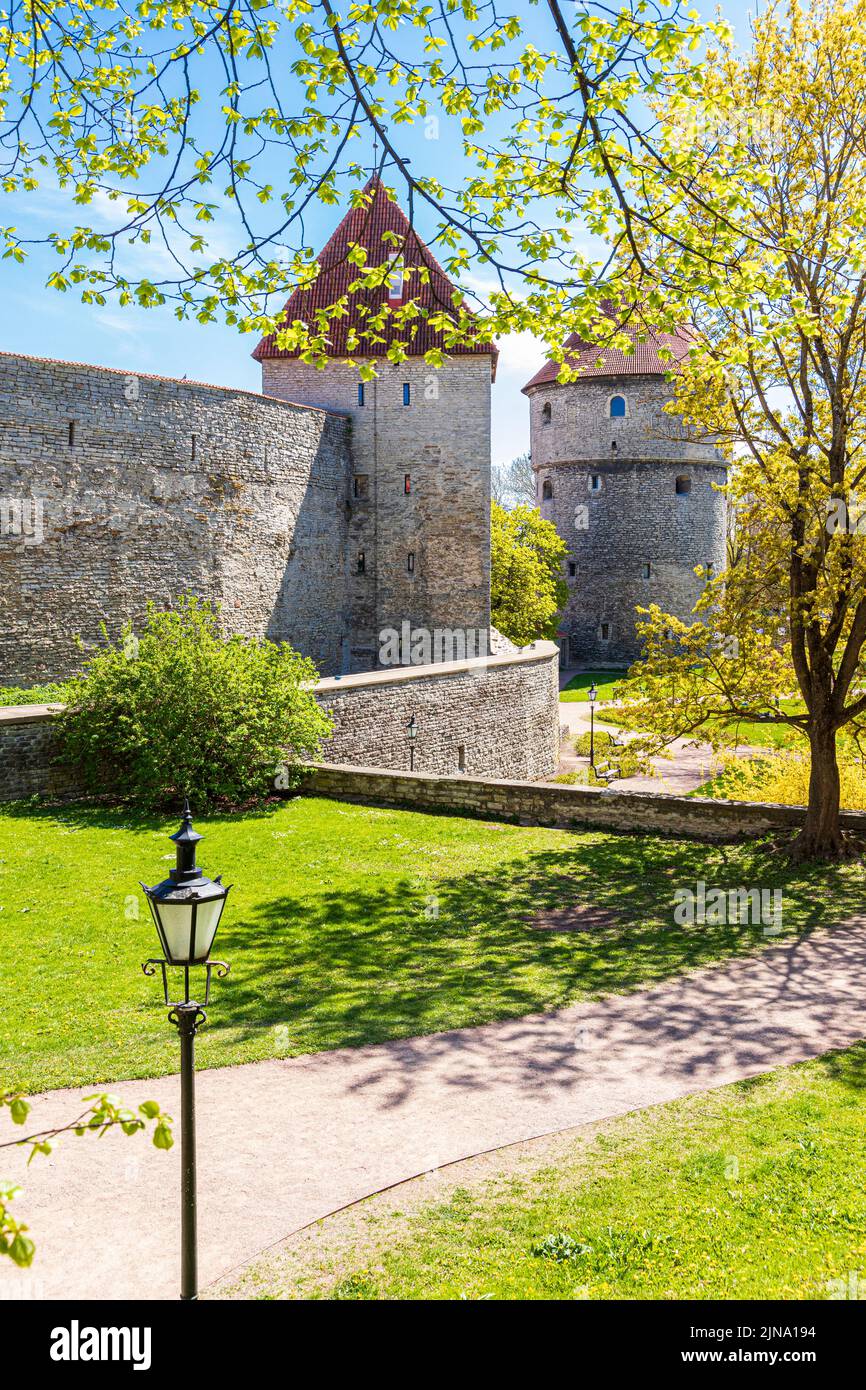 Algunas de las torres que defienden la muralla de la ciudad en la colina de Toompea en la Ciudad Vieja de Tallinn, la capital de Estonia Foto de stock