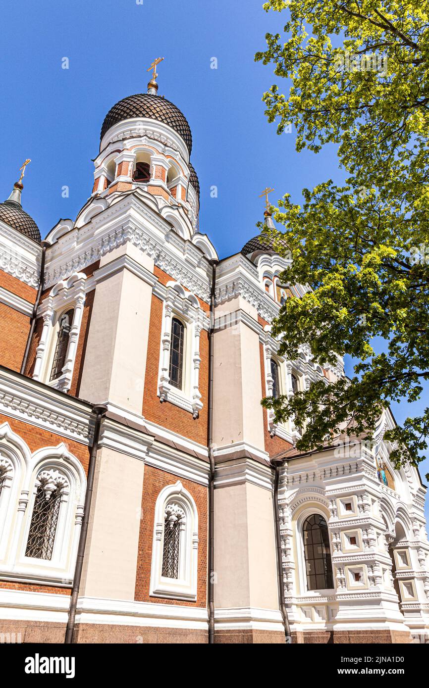 Catedral Alexander Nevsky en la colina de Toompea en el casco antiguo de Tallinn, la capital de Estonia Foto de stock
