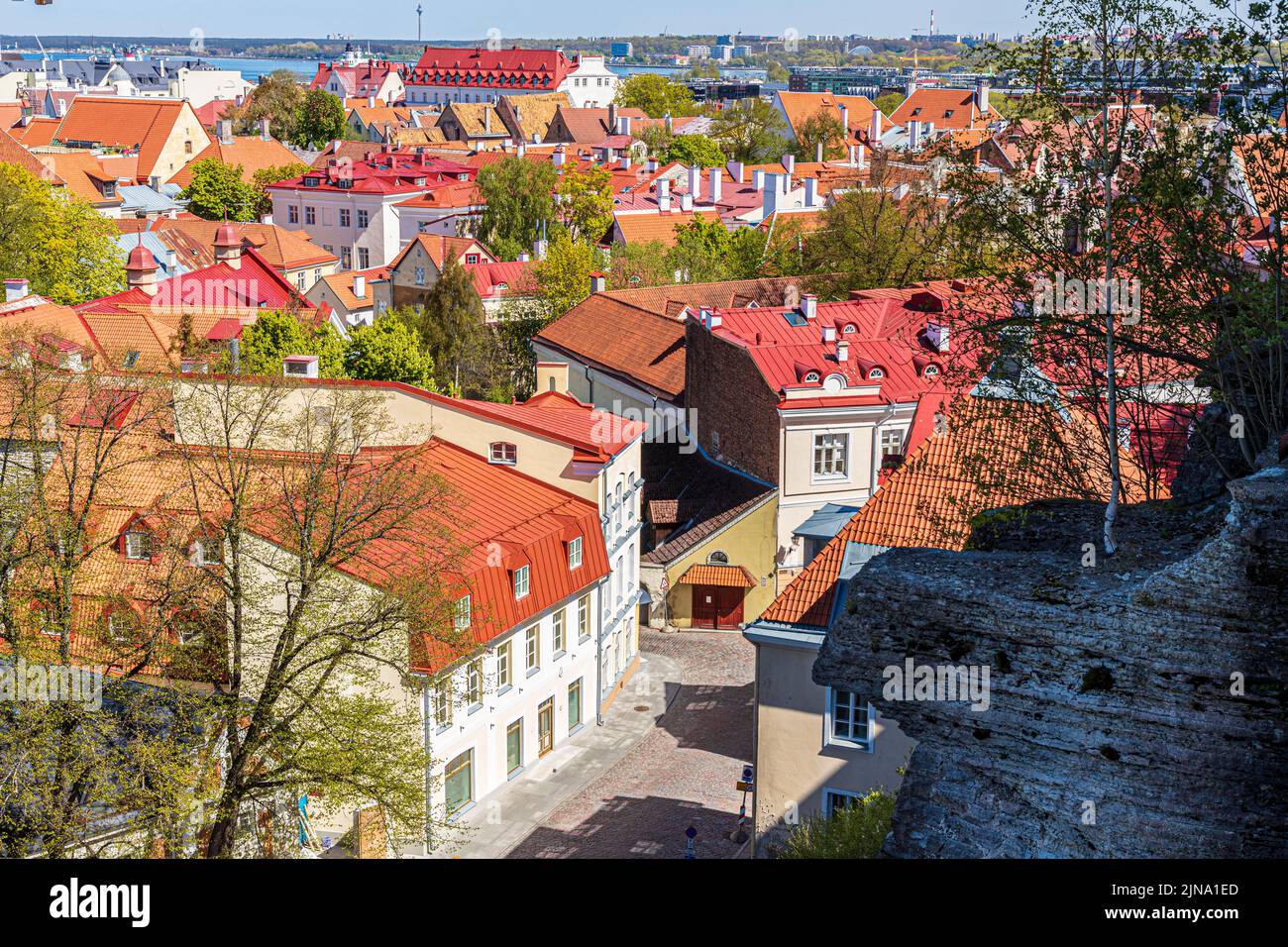 Desde la ciudad alta se puede contemplar las torres del casco antiguo de Tallinn, la capital de Estonia Foto de stock