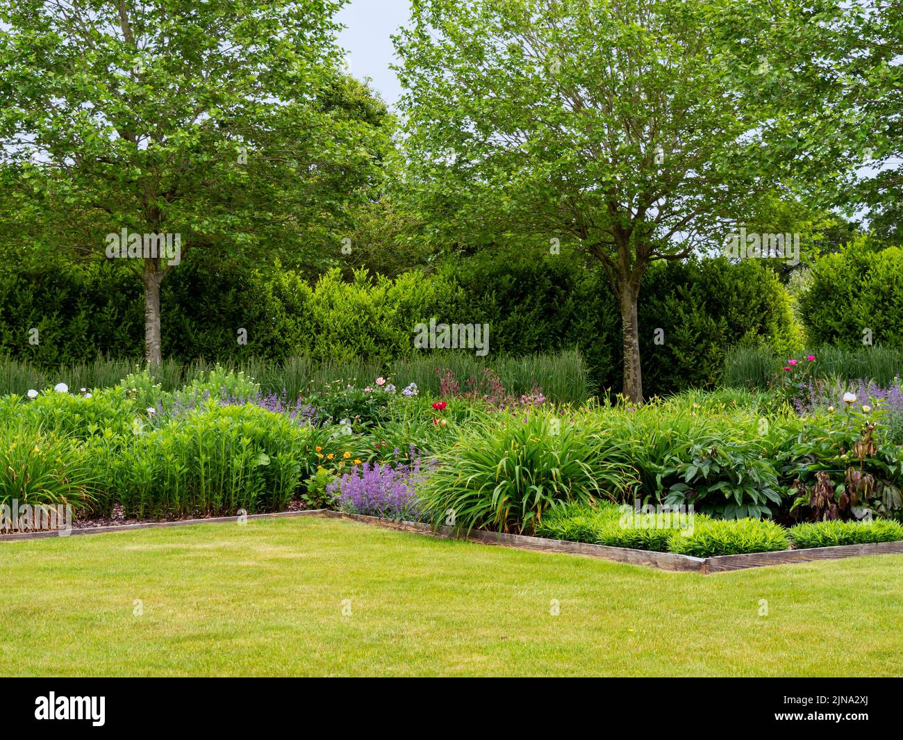 Flores y un césped verde en un jardín de verano Foto de stock