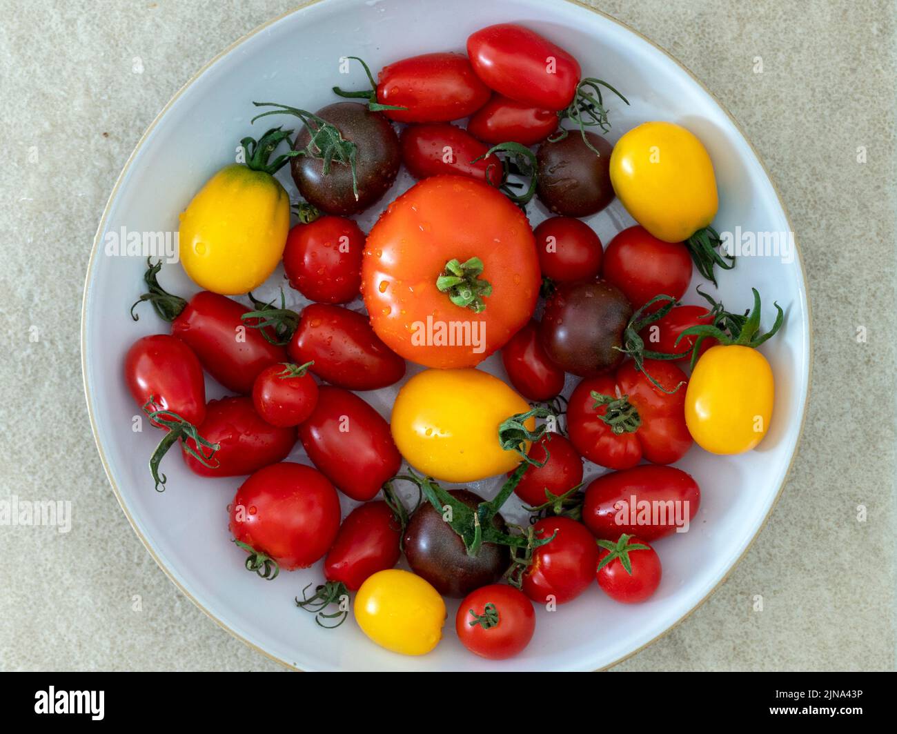 Mezcla de variedades de tomate de cosecha propia en un recipiente Foto de stock