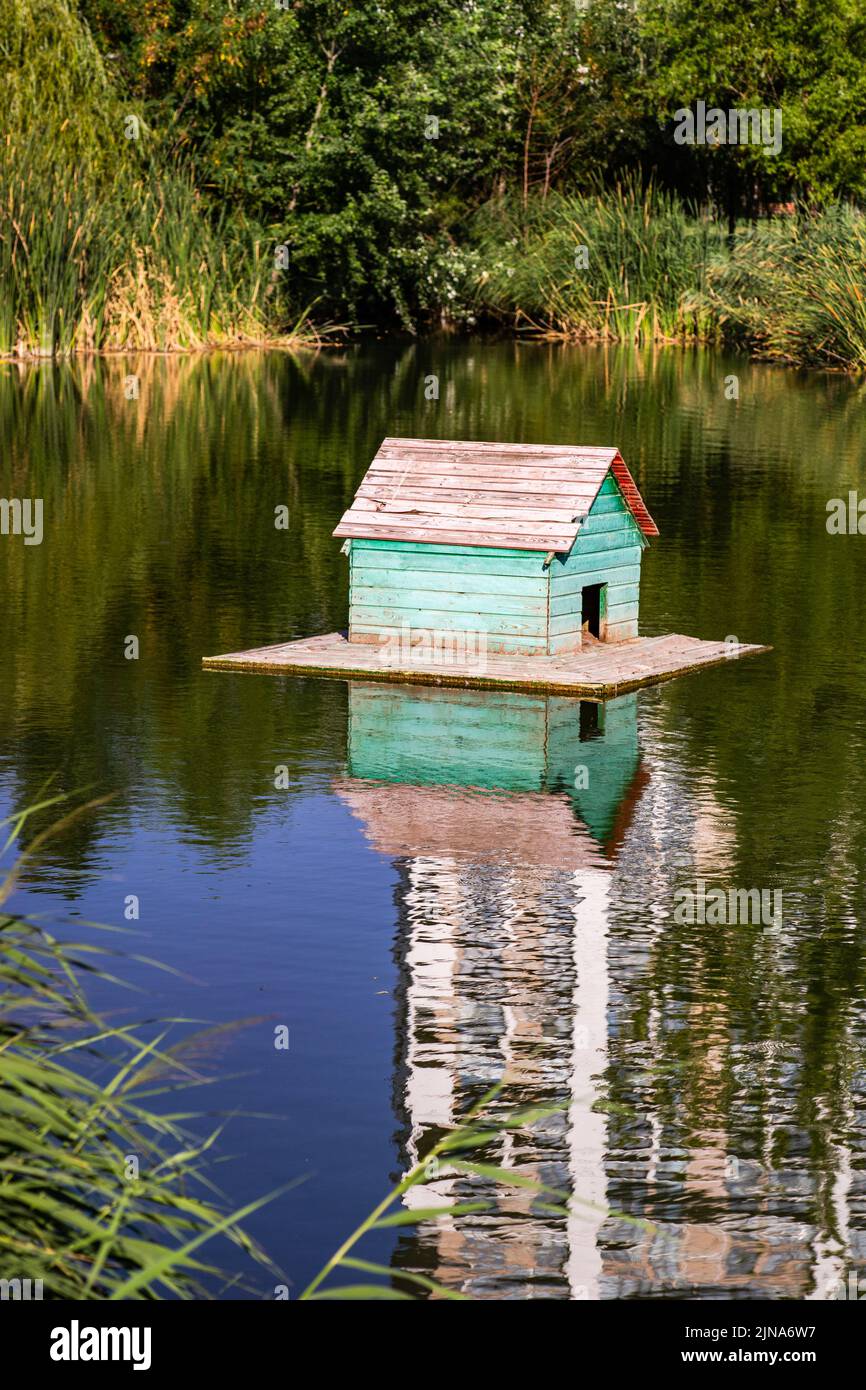 Estanque de verano con casa de patos con reflexión Foto de stock