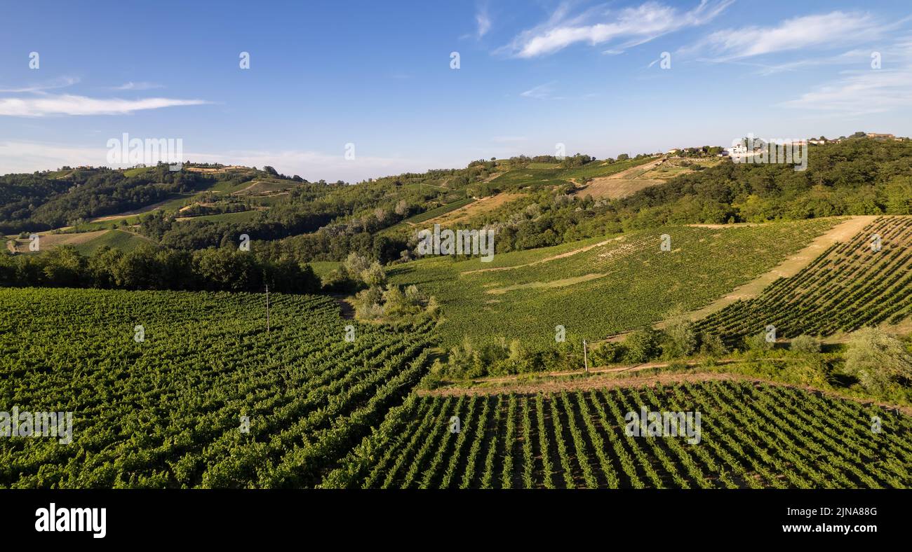 Plantaciones de viñedos, vista aérea panorámica al norte de Italia. Cielo azul, las nubes, las colinas del campo en verano Foto de stock