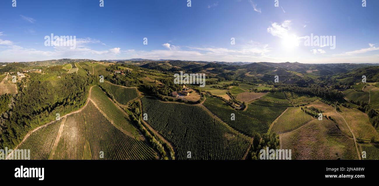 Plantaciones de viñedos, vista aérea panorámica al norte de Italia. Cielo azul, las nubes, las colinas del campo en verano Foto de stock