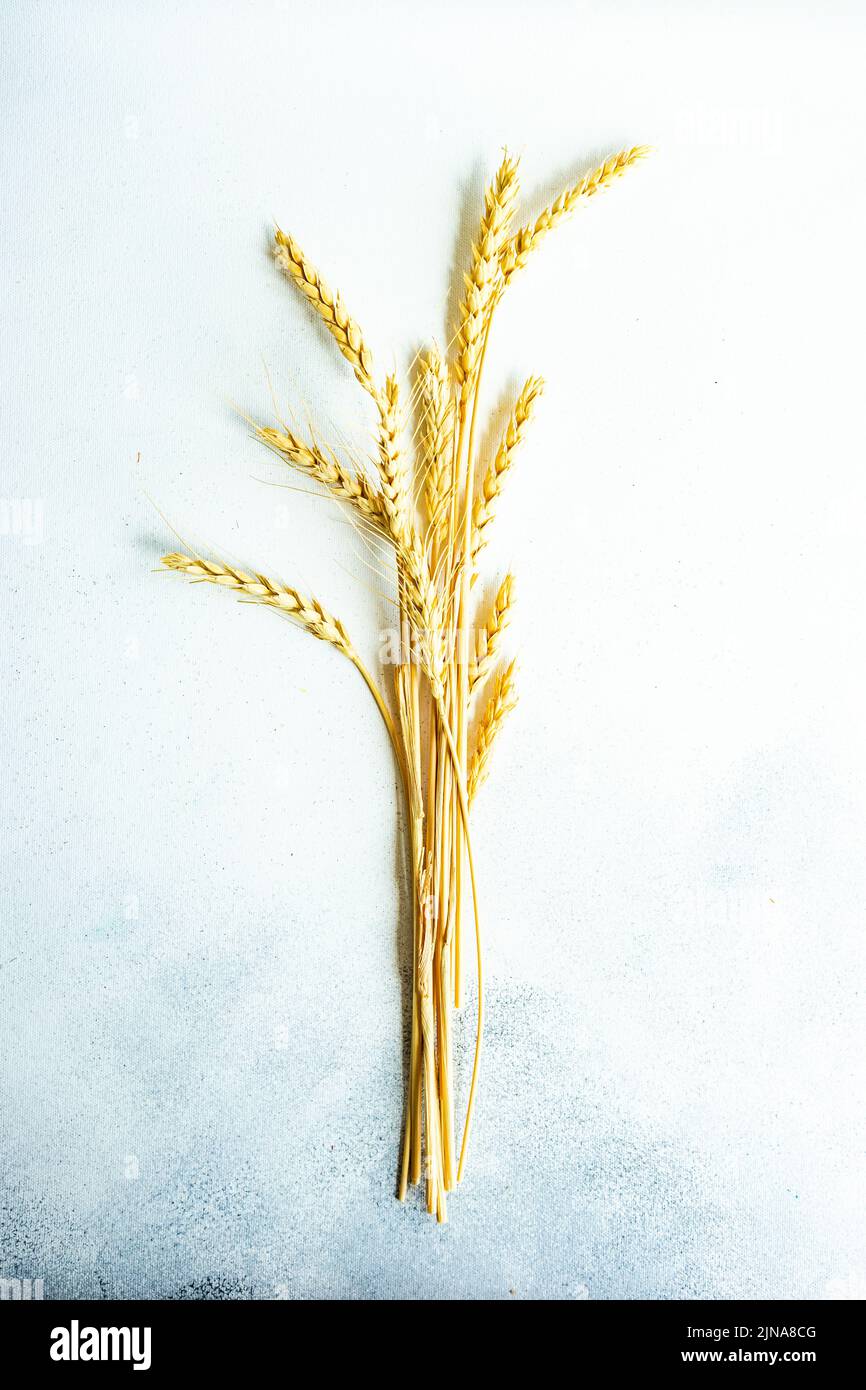 Planta de trigo seco en bouquet como concepto de tarjeta de cosecha otoñal Foto de stock