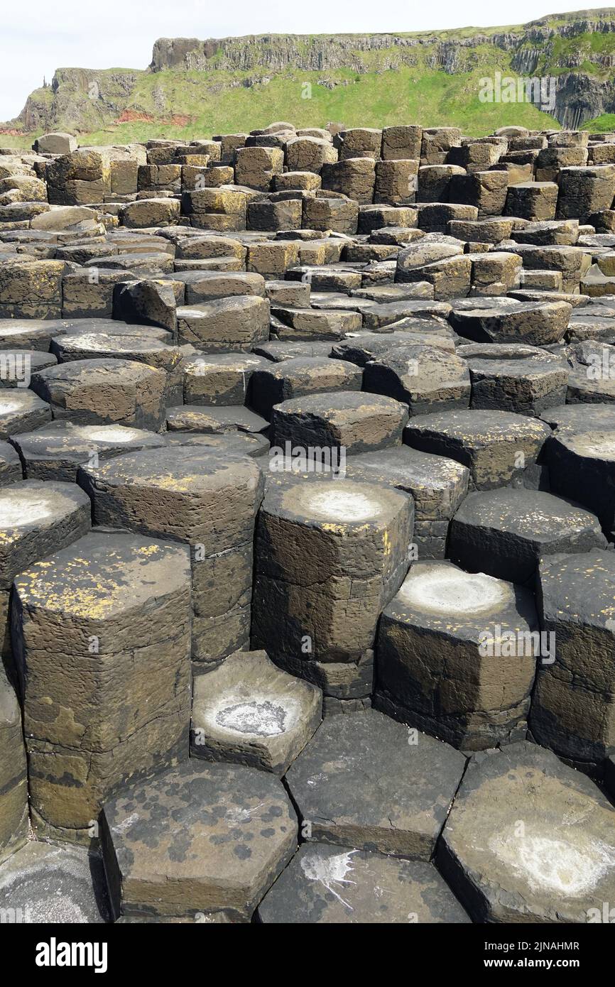 Giant's Causeway, columnas de basalto, reserva natural nacional, Condado de Antrim, Irlanda del Norte, Tuaisceart Éireann, Reino Unido, Europa Foto de stock