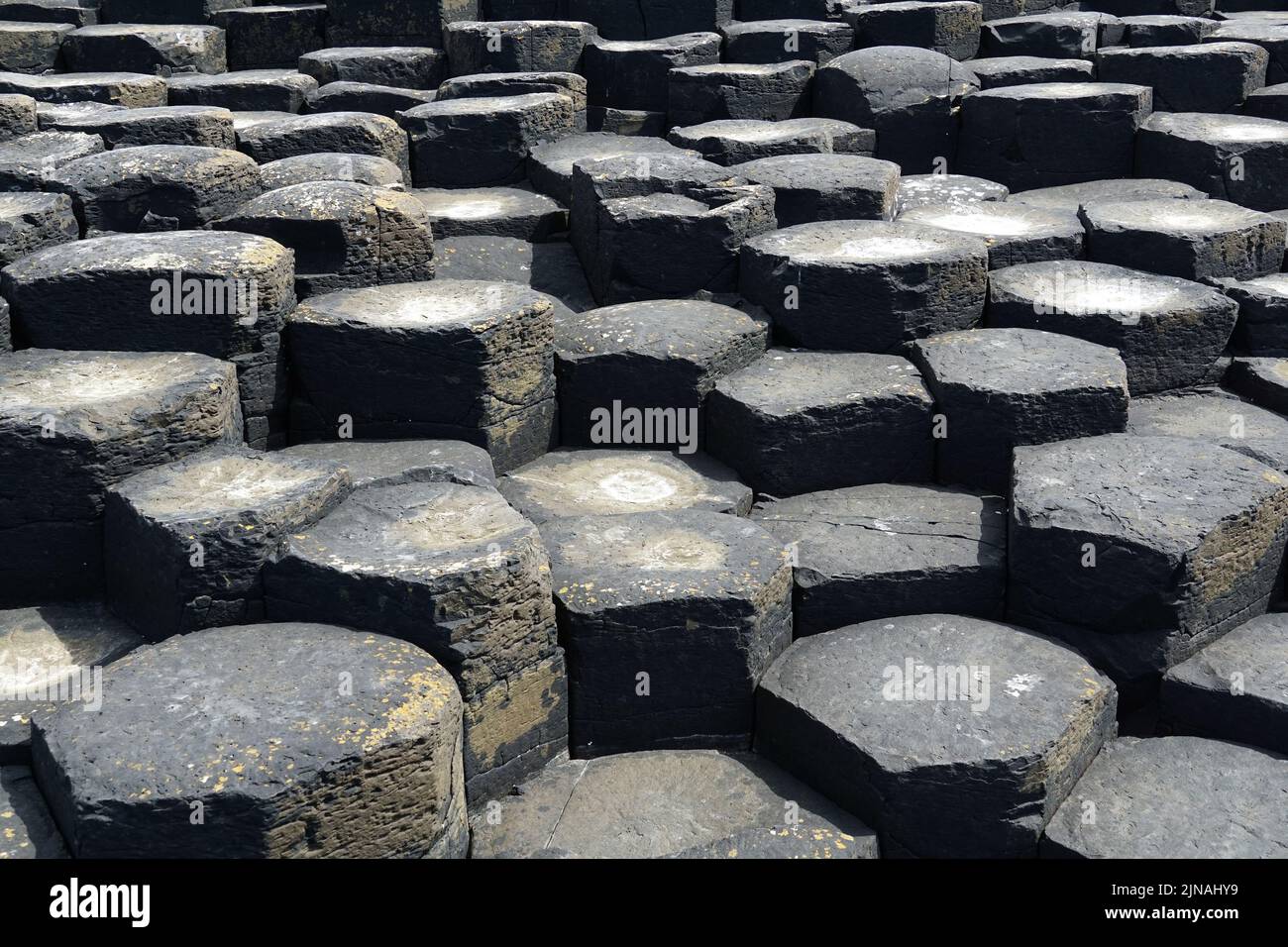 Giant's Causeway, columnas de basalto, reserva natural nacional, Condado de Antrim, Irlanda del Norte, Tuaisceart Éireann, Reino Unido, Europa Foto de stock