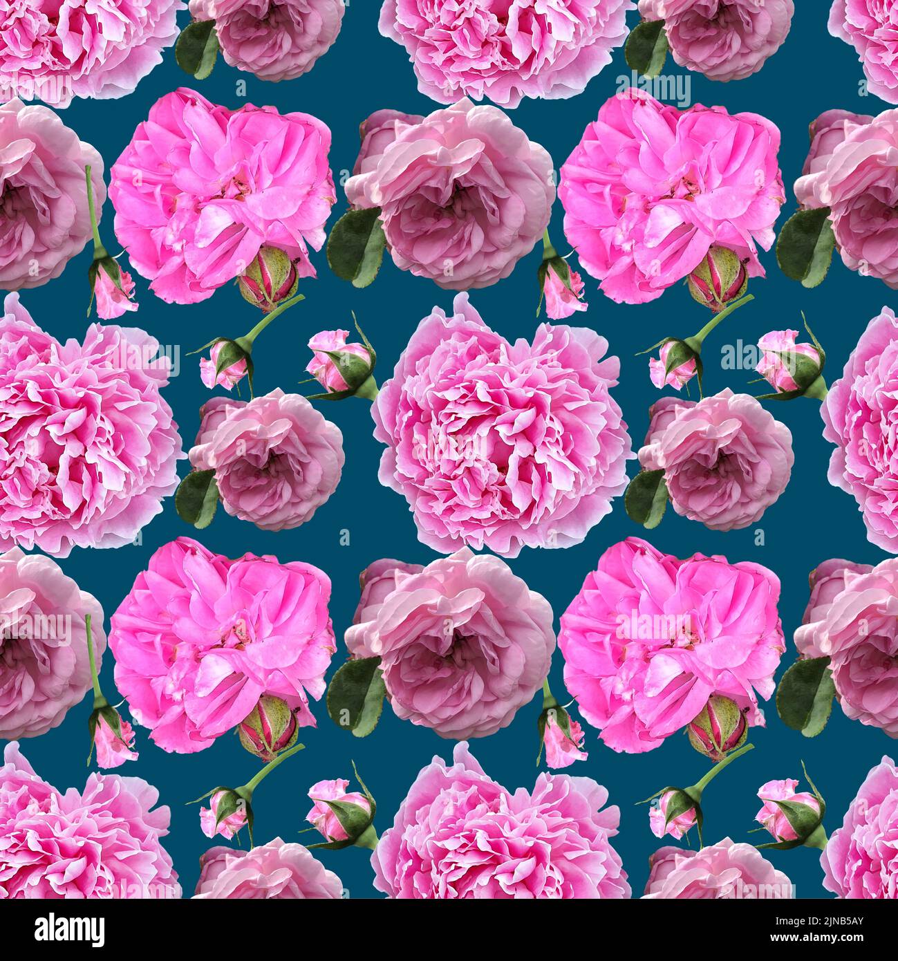 Diseño sin costuras con rosas color acuarela rosas dibujadas a mano sobre fondo turquesa. Ilustración vintage. Foto de stock