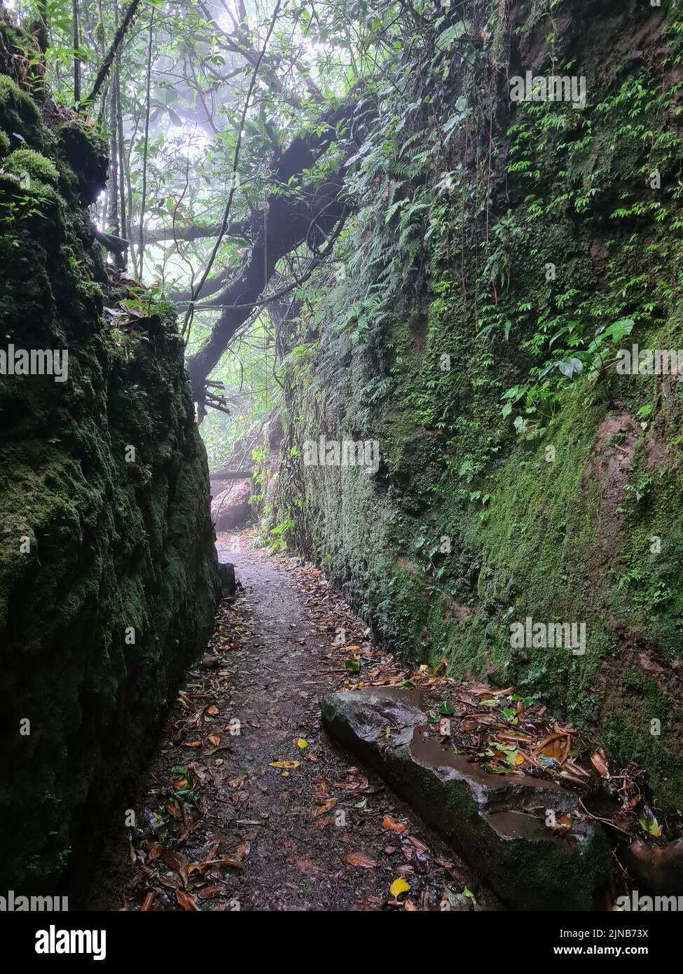 Camino estrecho en piedras de roca. Túnel Moisty en aventura de senderos Foto de stock
