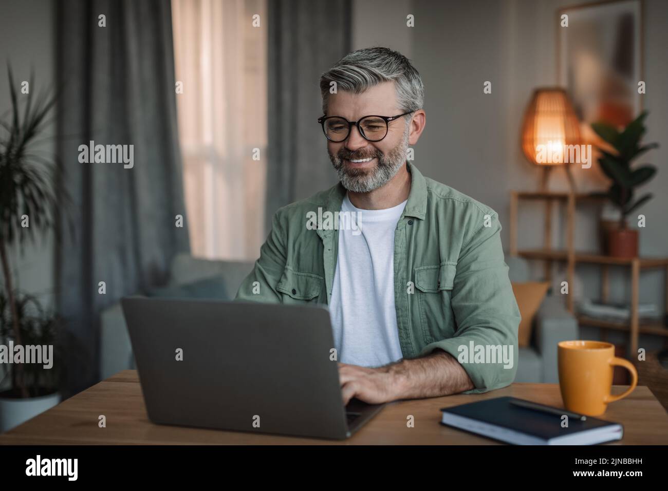 Alegre hombre europeo anciano con barba en gafas relojes lección de vídeo, charlando en el ordenador Foto de stock
