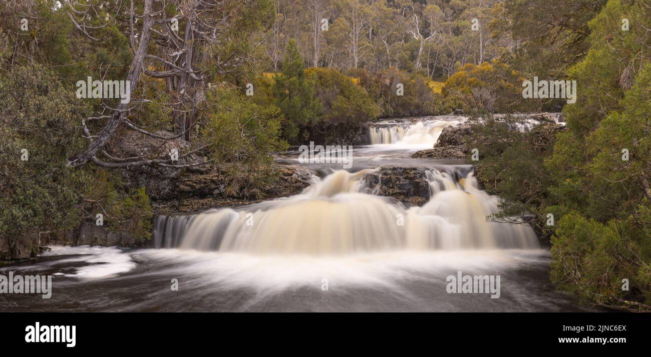 primer plano de larga exposición de la cascada de pino lápiz en el parque nacional de cradle mountain en tasmania, australia Foto de stock