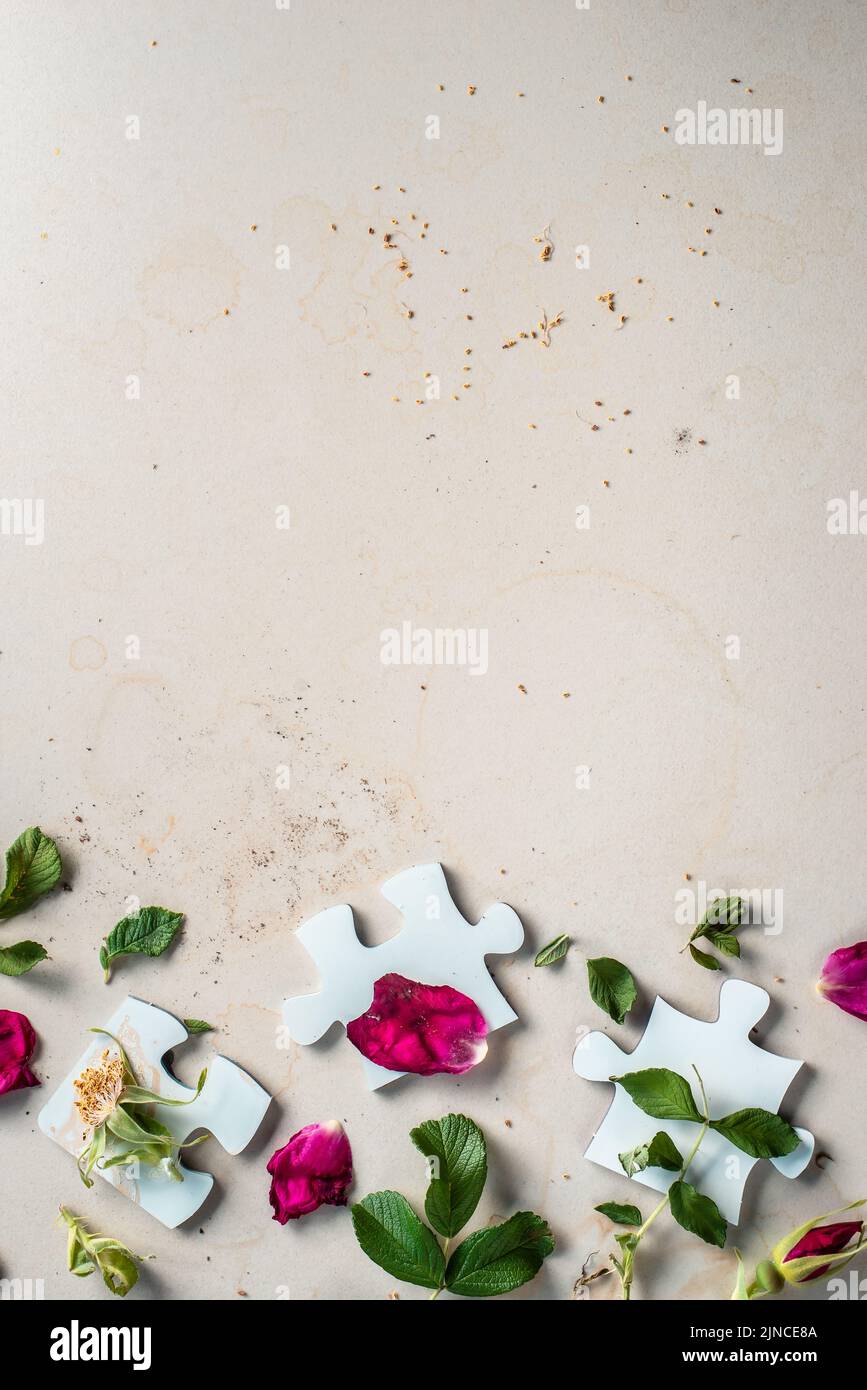 Piezas de puzzle en blanco con flores de rosa, concepto de conexión, flatlay floral Foto de stock