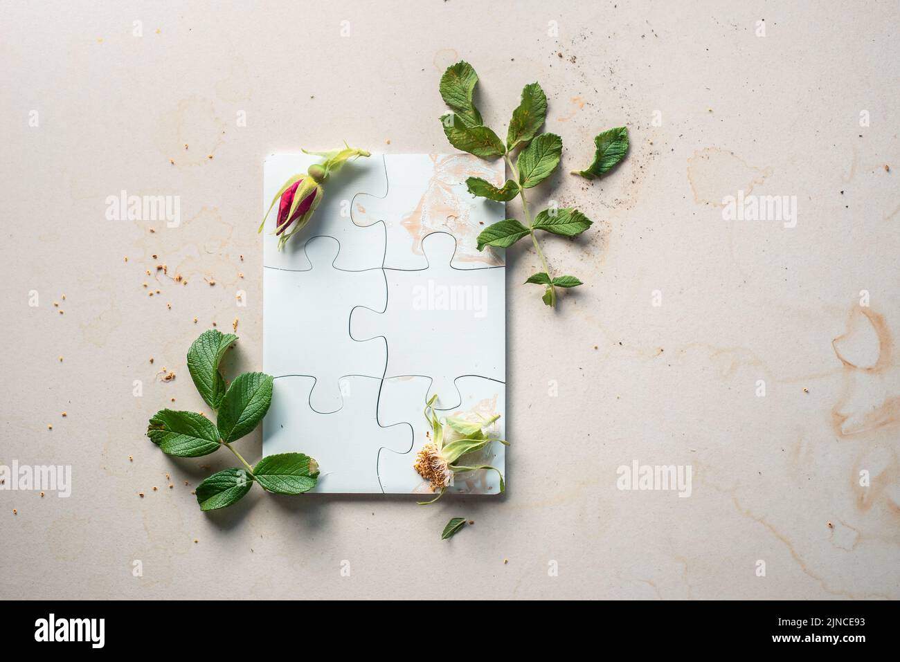 Cabecera floral con piezas de puzzle blancas sobre fondo de piedra, espacio de copia Foto de stock