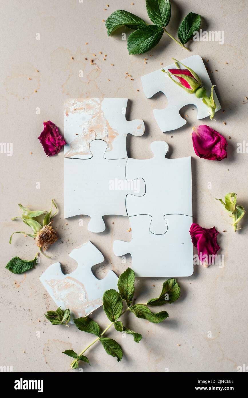 Rompecabezas conectado, piezas blancas en blanco con pétalos secos de flores Foto de stock