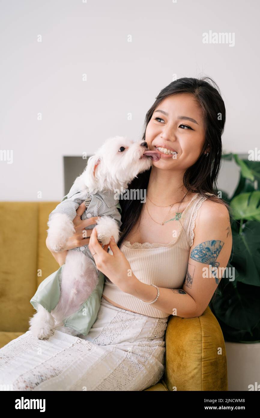 Niña tatuada jugando con un pequeño perro blanco en un sofá amarillo mostaza Foto de stock